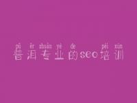 普洱专业的seo培训 网站建设及优化