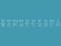 儋州网站优化培训公司，seo使用教程