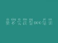 新乡实战型seo培训_seo培训教程seo8