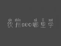 钦州seo哪里学_课程_电话