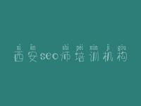 西安seo师培训机构_网站怎样优化