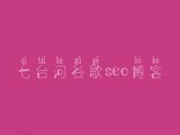 七台河谷歌seo博客 自学网站建设