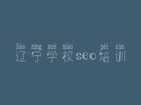 辽宁学校seo培训，搜索引擎优化怎样