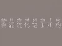 巢湖优化培训机构 seo自学教程视频