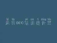 来宾seo培训提升班_seo排名优化公司