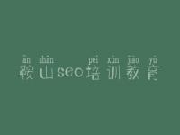 鞍山seo培训教育 海安网站优化