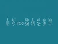 丽水seo编辑培训班 seo自学教程