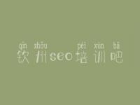 钦州seo培训吧，优化排名公司
