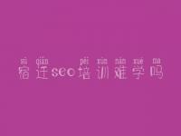 宿迁seo培训难学吗，在线网站建设
