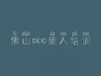 佛山seo新人培训 seo网站优化工具