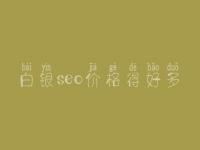 白银seo价格得好多_服务口碑咋样