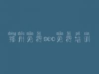 郑州免费seo免费培训 建设网页的公司