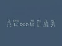 巴中seo培训服务 武进网站建设