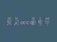 黑河seo哪里学_课程_联系方式