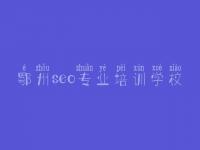 鄂州seo专业培训学校_平台网站建设网站