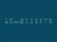 福州seo周末培训多少钱_网站建设与推广