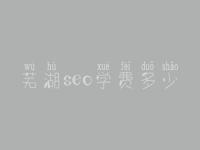 芜湖seo学费多少_服务究竟口碑好不好