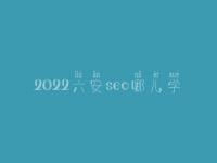 2022六安seo哪儿学_培训班_电话