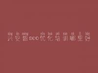 兴安盟seo优化培训哪里好 坪地网站优化