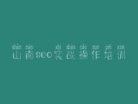 山南seo实战操作培训 网站优化的优化