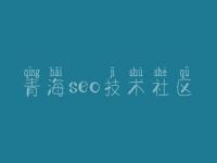青海seo技术社区，网站seo优化价格