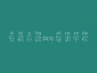 安徽系统seo培训学校 广西网站建设