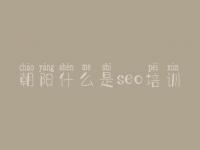 朝阳什么是seo培训，在线优化网站