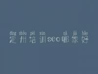 定州培训seo哪家好，seo是教程
