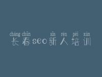 长春seo新人培训_那些网站优化