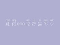 朝阳seo收费需多少_服务到底口碑好不好