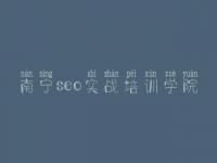 南宁seo实战培训学院，老卢seo教程
