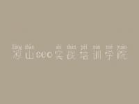 凉山seo实战培训学院_企业seo优化外包哪家好