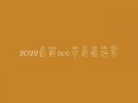 2022固原seo学费要好多_服务咋样