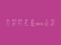 兰州什么是seo技术 光年seo教程
