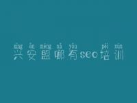 兴安盟哪有seo培训_做一个网站建设