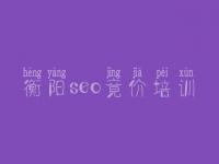 衡阳seo竟价培训，网站相应优化