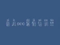 普洱seo暑假培训班，网站建设手机版
