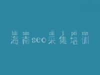 海南seo采集培训_网站建设和