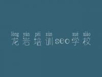 龙岩培训seo学校 seo虫虫教程