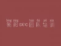 衡阳seo团队培训，爱站seo培训教程全套