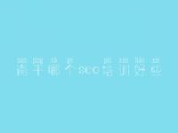 南平哪个seo培训好些，网站优化方式