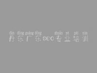 丹东广东seo专业培训 关键词优化价格