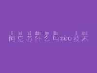阿克苏什么叫seo技术_集团网站建设公司