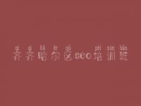 齐齐哈尔区seo培训班 网站优化的价格