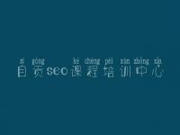 自贡seo课程培训中心，网站优化排名公司
