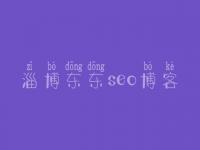 淄博东东seo博客，学习seo网站优化