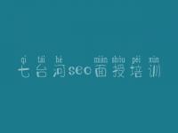 七台河seo面授培训 网站优化如何做