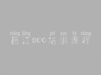 昌江seo培训课程，网站seo具体怎么做