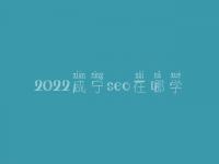 2022咸宁seo在哪学_课程_联系电话