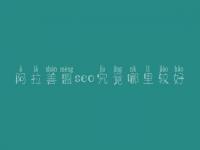 阿拉善盟seo究竟哪里较好_一般收费得多少